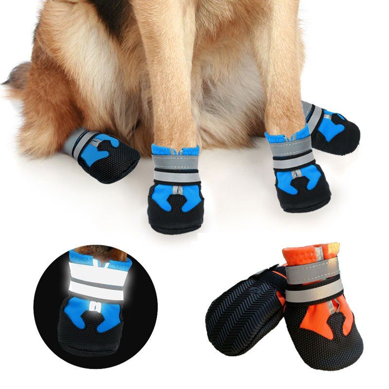 Pin by Onze on estilo&acessorios  Dog boots, Cute dog toys, Dog shoes