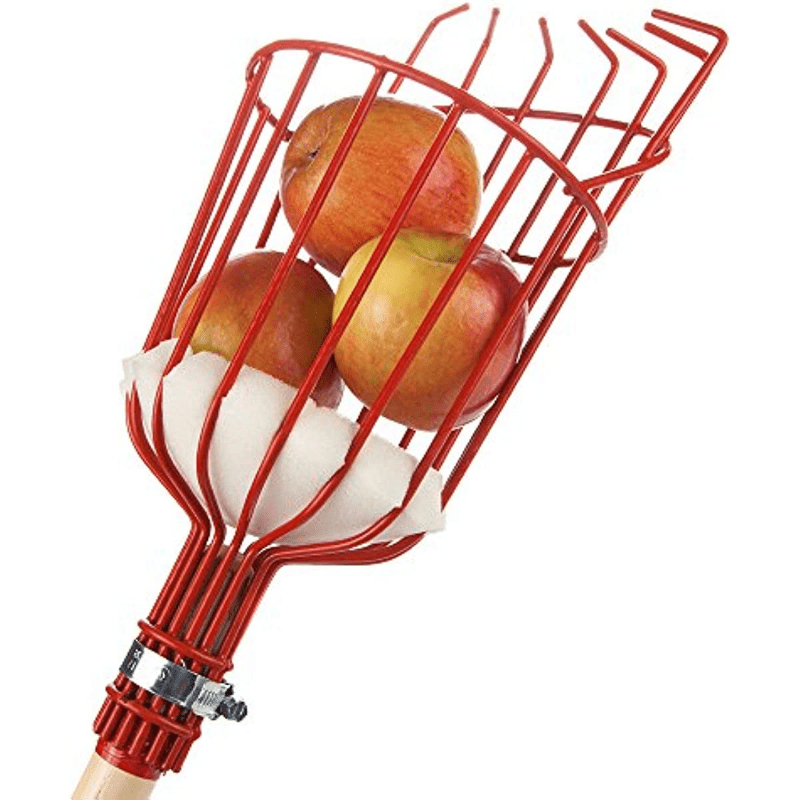 Herramienta para recoger frutas, recolector de frutas con poste telescópico  de acero inoxidable y bolsa, práctico agarrador de frutas para cosechadora