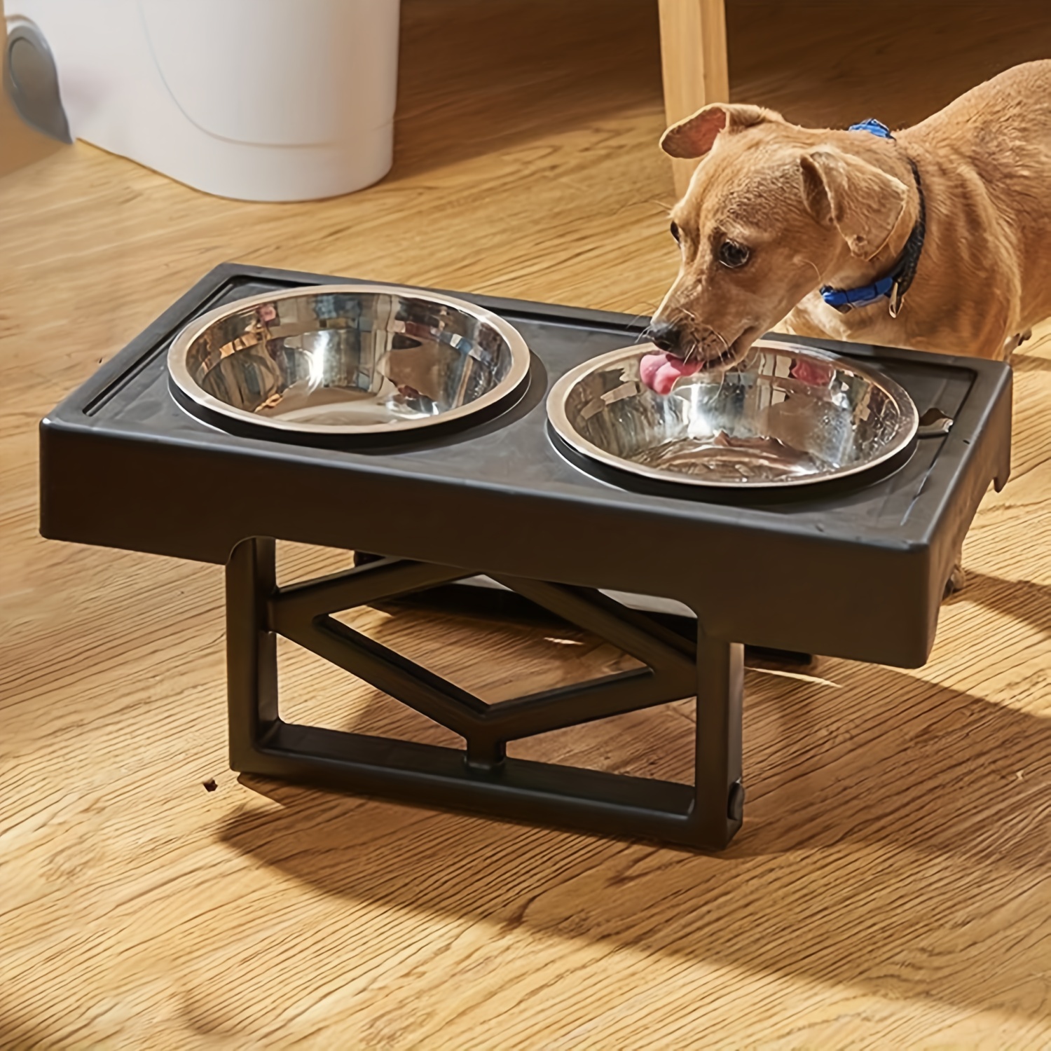 Elevated Dog Bowls for Cats Small Dogs - Mildew Proof Tilted Height  Adjustable Raised Dog Bowl Stand with 2 Bowls - Lifted Cat Food Dishes  Station for Kitties Puppies Feeding
