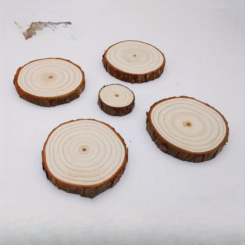Kit de bricolaje de pino en rodajas de madera, decoración de jardín de  infantes, corteza de árbol, regalos para manualidades, troncos de pino,  troncos