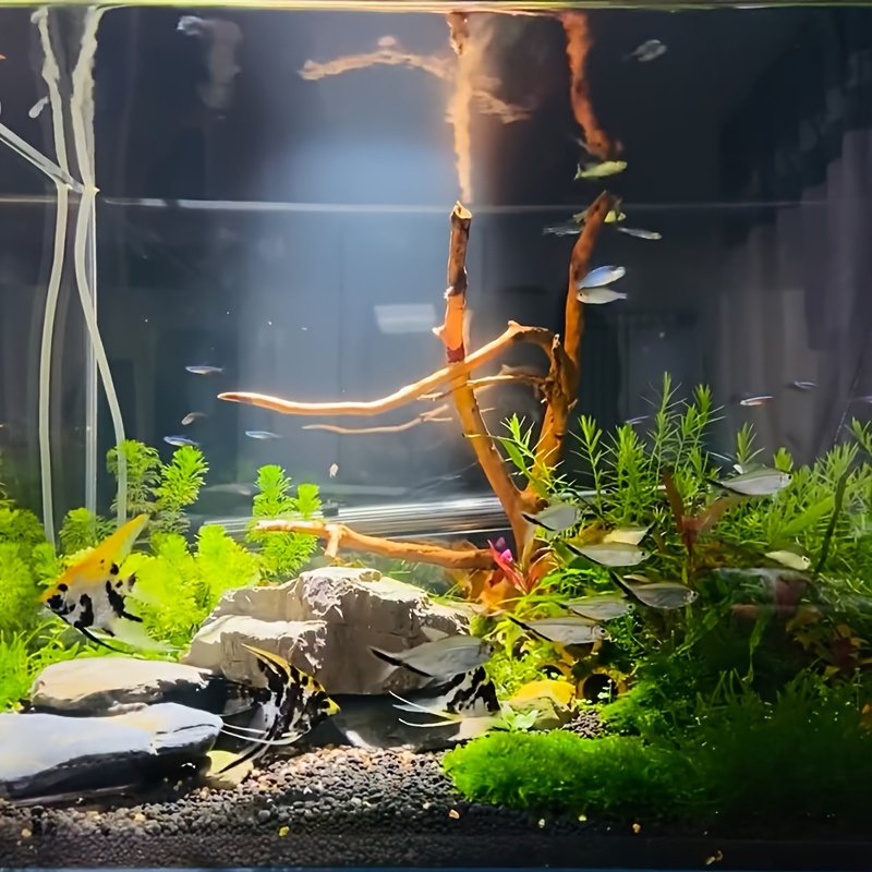 Enhancing Your Freshwater Aquarium with Spiderwood, Teawood Roots