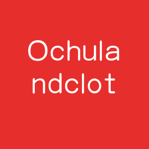 Ochuland clothing bags