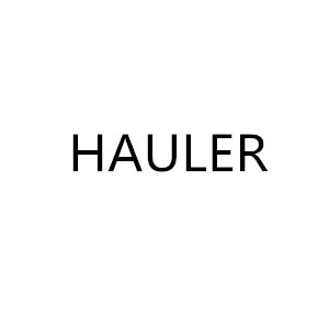 Hauler - Schnelle Und Sichere Online-kasse - Tolle Angebote Bei Temu Germany