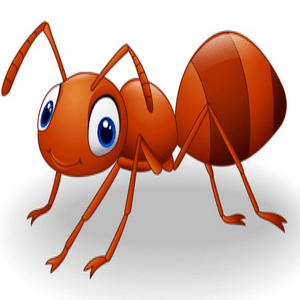 Red Little Ant - Shop Now For Limited-time Deals - Great Offers at Temu