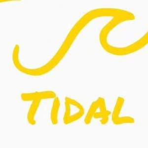 Brand Official Store: TIDALOLY