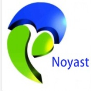 Noyast