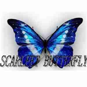 Scarlett Butterfly