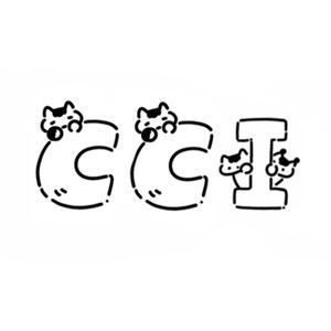 CCi AllPocket