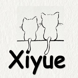 Xiyue bags