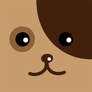 DD Clothing