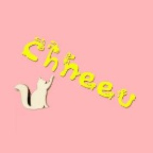 Chneeu Direct