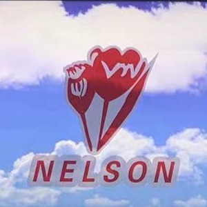 N E L S O N