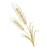 barley model