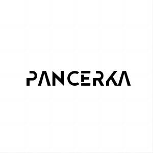 Brand Official Store: PANCERKA