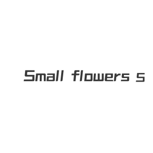 Small flowers S