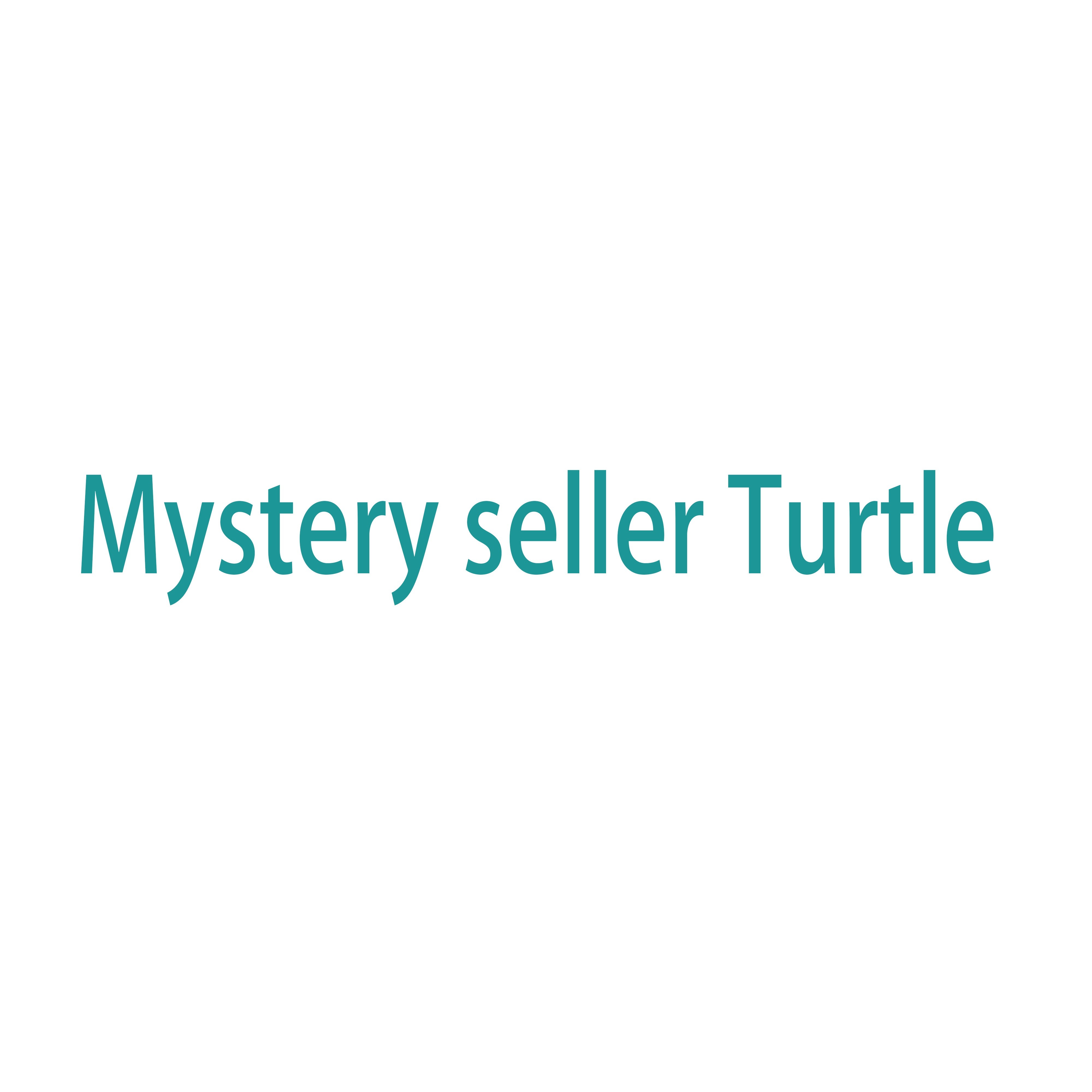 Mystery seller Turtle
