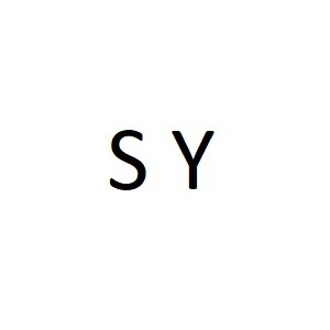 SY Shoe Accessories