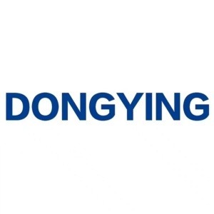DY Projector Factory