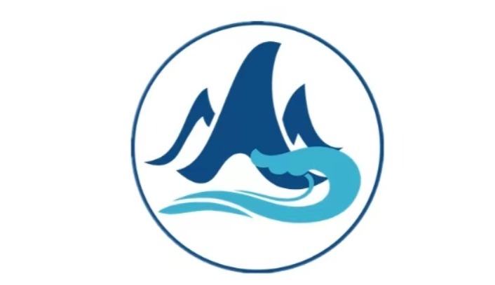 Jindong Trading Company