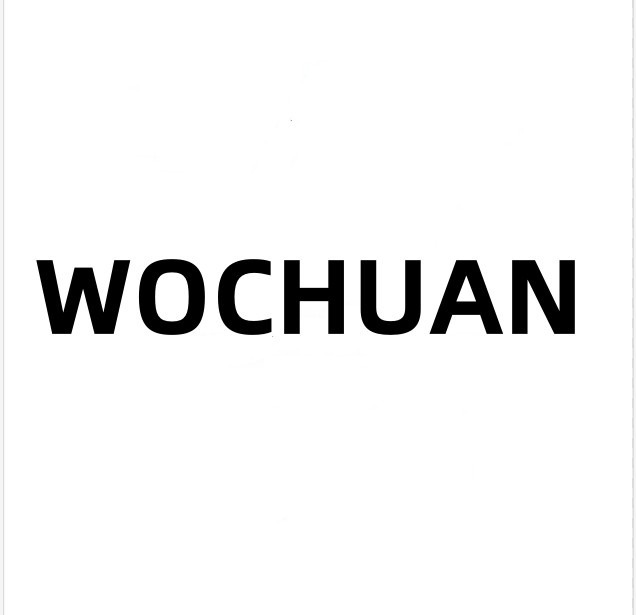 wochuandianzi