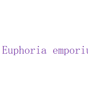 Euphoria emporium Y