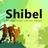 Shibel Shoes