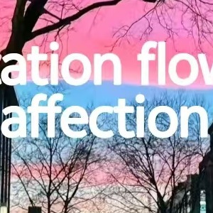 Imitation flower affection