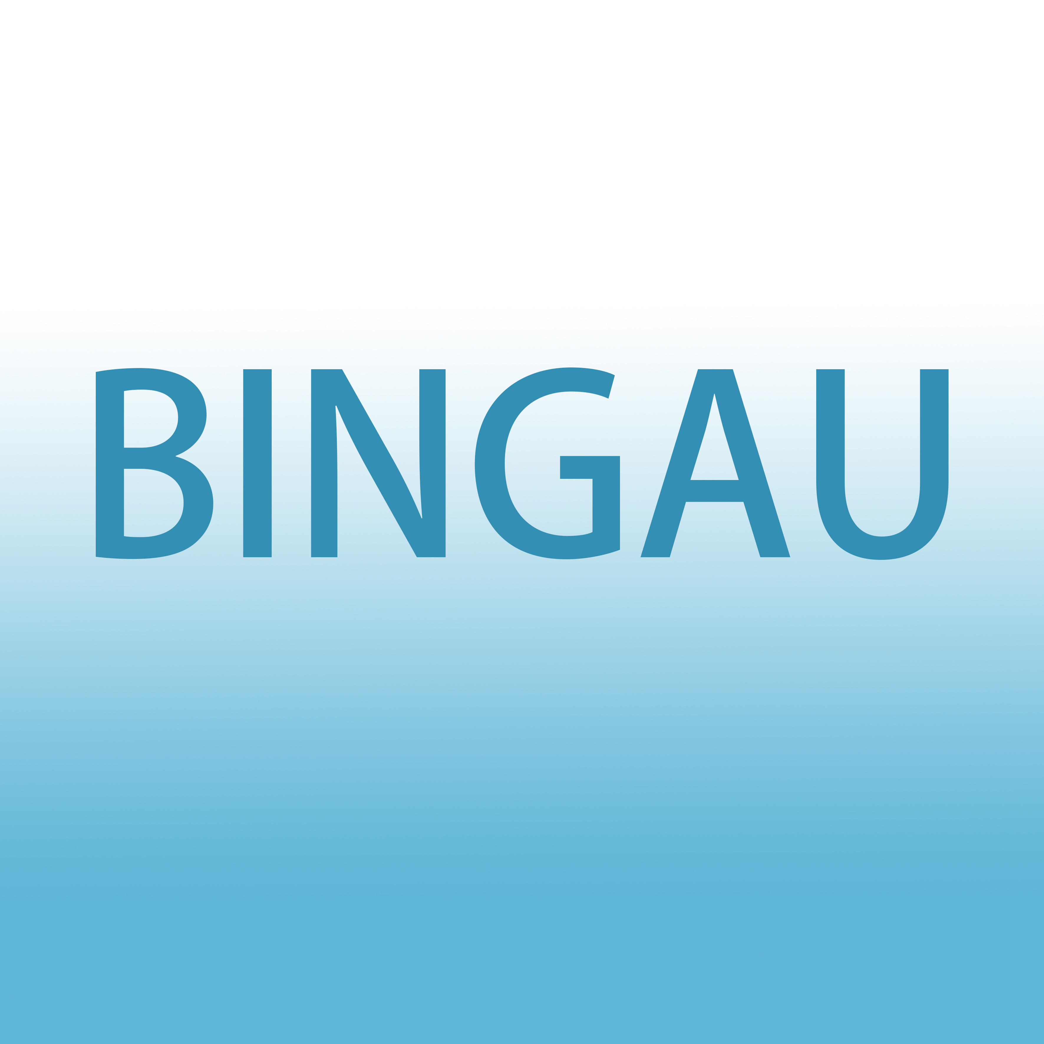 Bingau