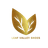 Leaf valley shoes
