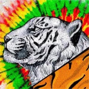 Riley interesting space