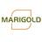 MarigoldD