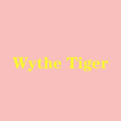 WY FASHION