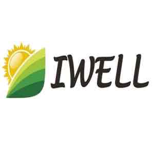 IWELL Women Accessories