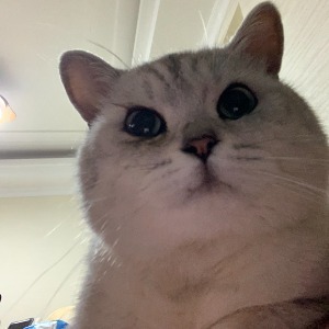 lujiu