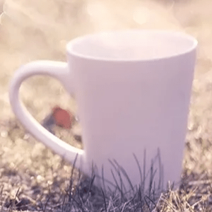 Good love online middle