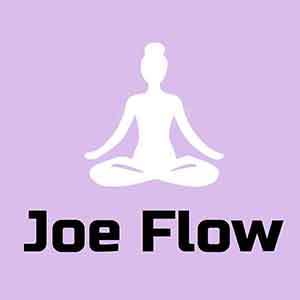 Joe Flow