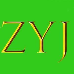 ZYJZYJ
