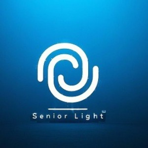Modern Sensor Light