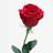Letterly With Love