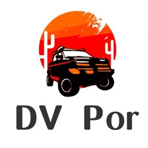 DriveView Por