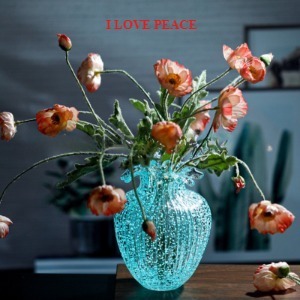 WE LOVE PEACE