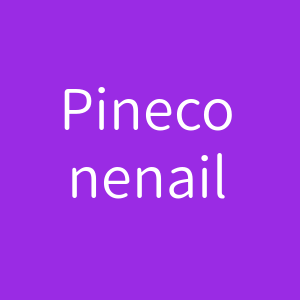 Pinecone nail franchise