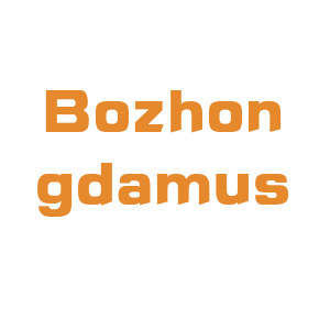 Bozhongda musical instrument