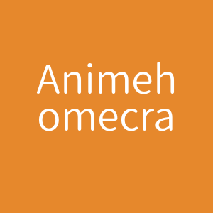 Anime home craft