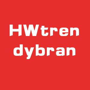 HW trendy brand clothing