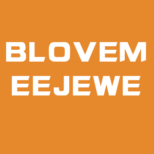 BLOVEMEE JEWELRY SHIP