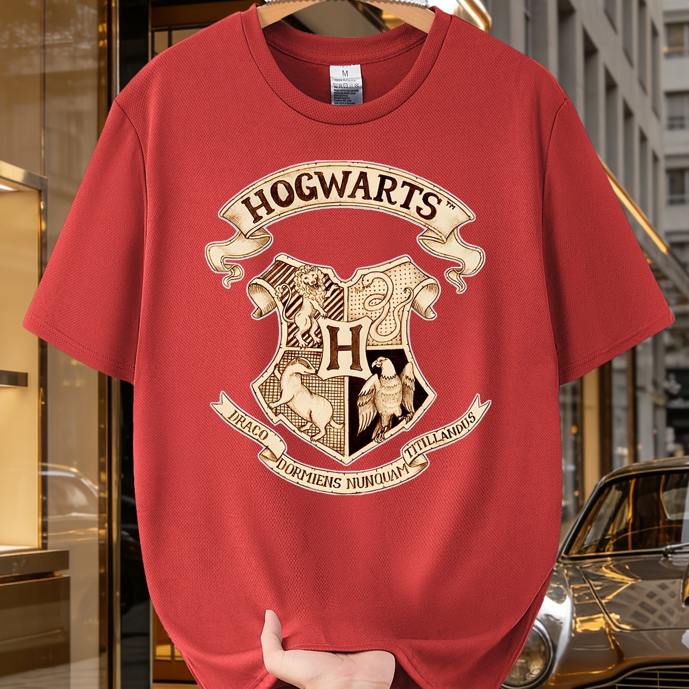TEMU Holiday Gift Hogwarts 