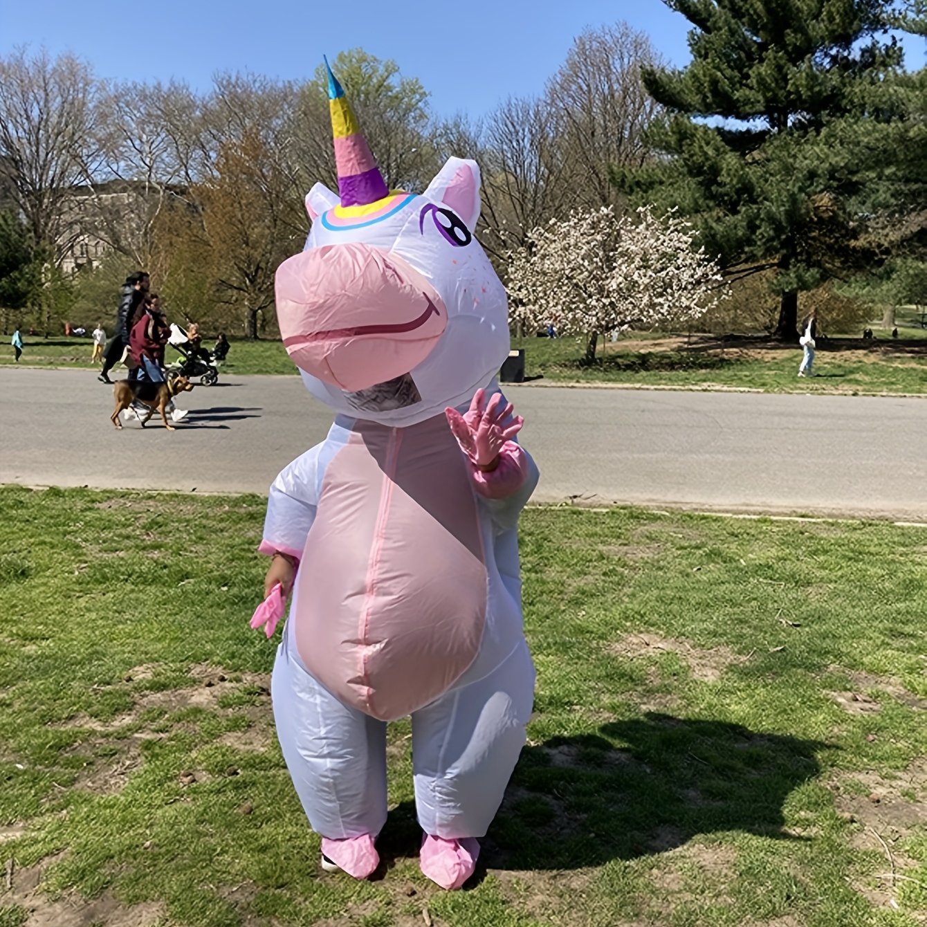 Image of Carnival Easter Party Set, Cute Adult Inflatable Halloween Costume, Party Jumpsuit, Inflatable Outfit, No Measurements Required