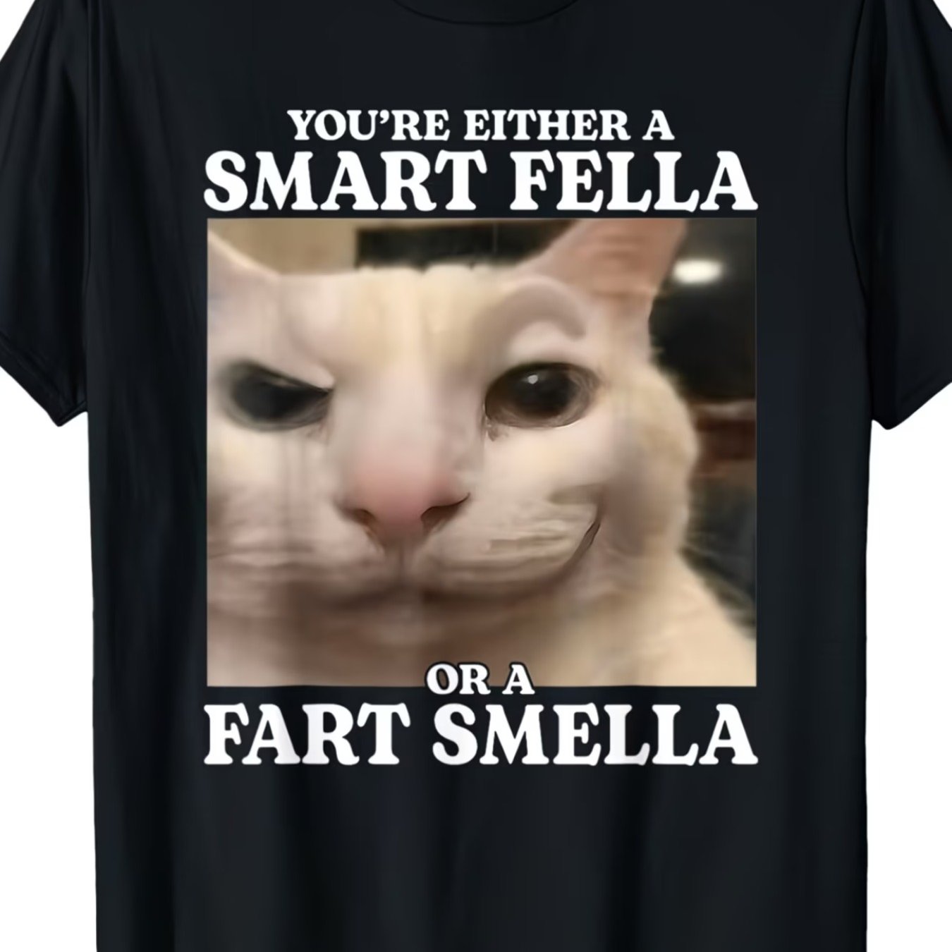 TEMU Men's Funny Meme T-shirt - Smart Fella Smelly Fart Pattern Tee With Design - Soft Crew Neck Short Sleeve T-shirt