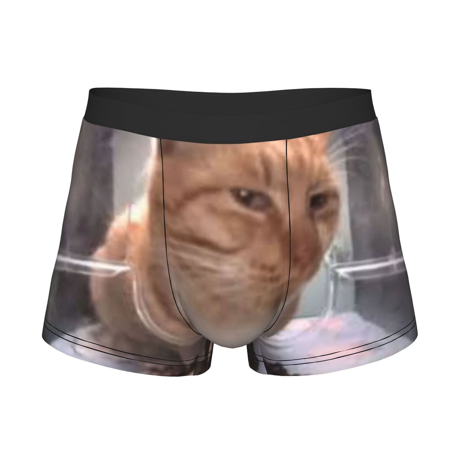 TEMU 1pc Meme Cat Underpants Breathable Panties Men's Underwear Ventilated Shorts Boxer Briefs